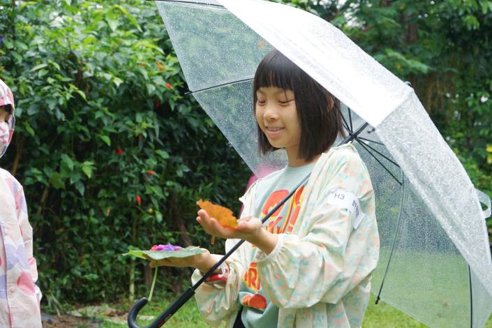 探索現地自然環境，尋找、採集還想一起放進頭冠裡的植物。