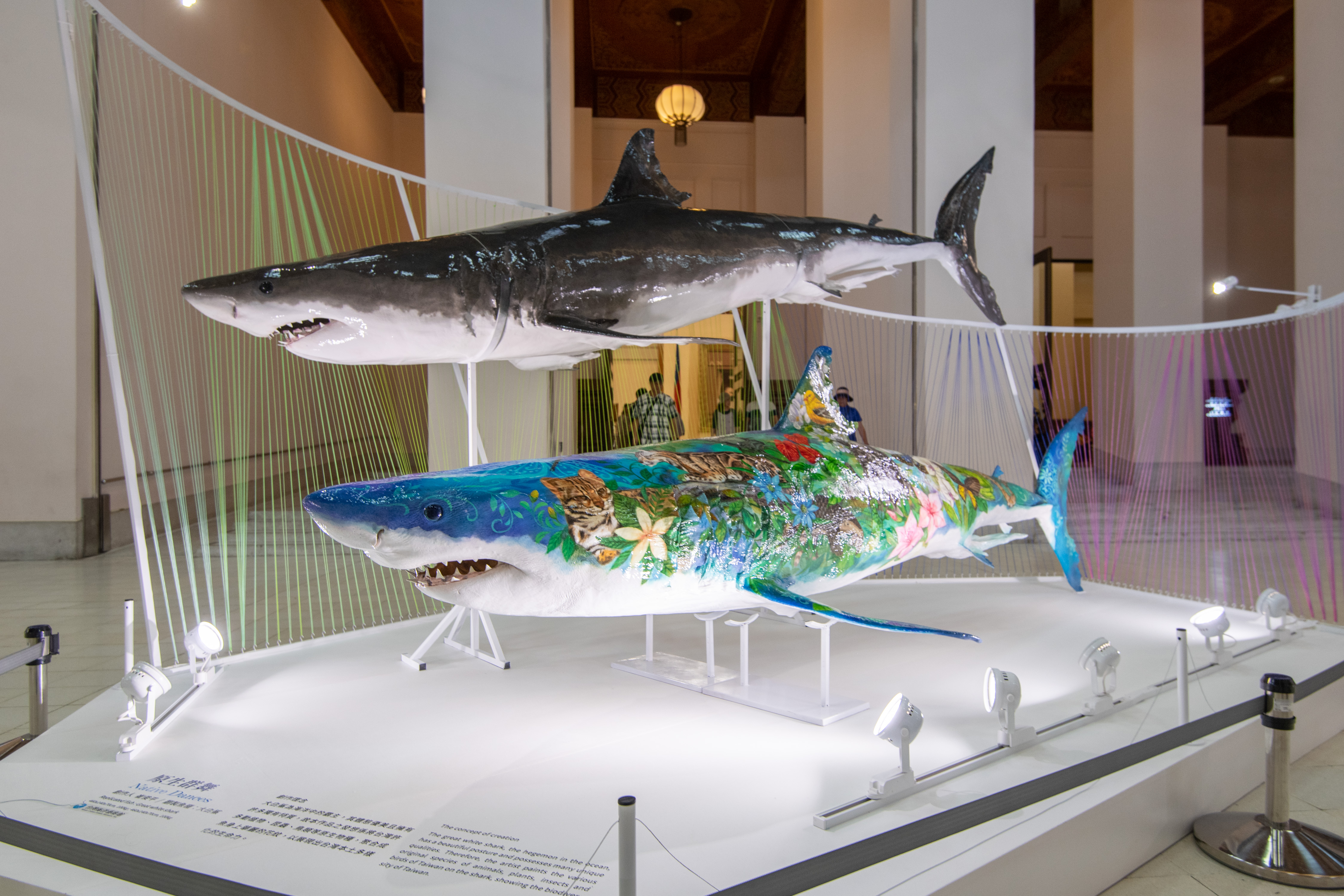 20190628-20191030 Fishwear- Vibrant Ocean Art -   shark