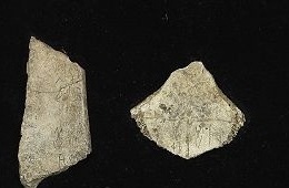 NATIONAL PROJECT ON ORACLE BONES UNDERWAY