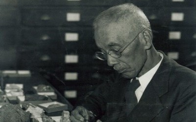 'SELECTED MINERAL & ROCK COLLECTIONS'