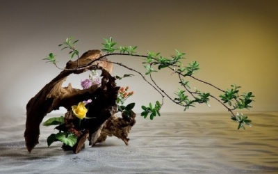 'TO DREAM IN FLOWERY BOWERS'
