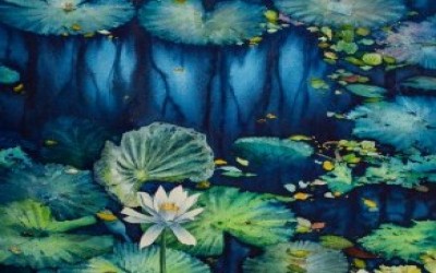 'MIND IMAGERY'