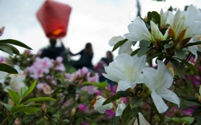 'TAIWAN INTERNATIONAL POETRY FESTIVAL'