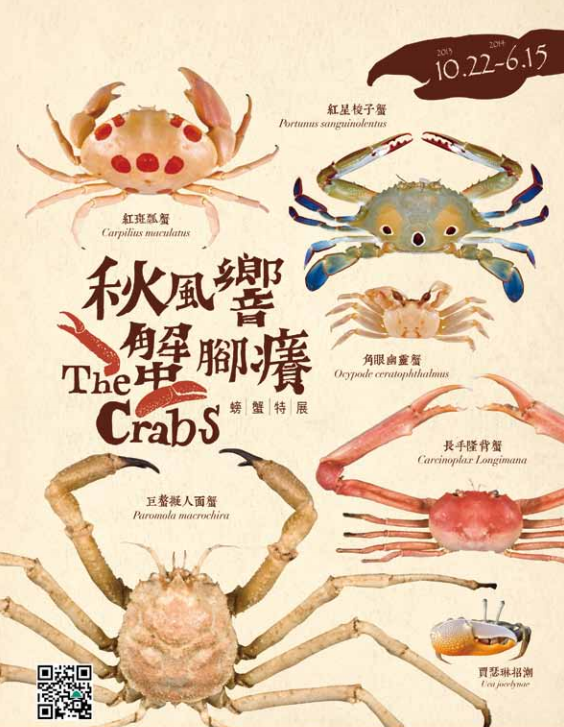 1122 crab.png