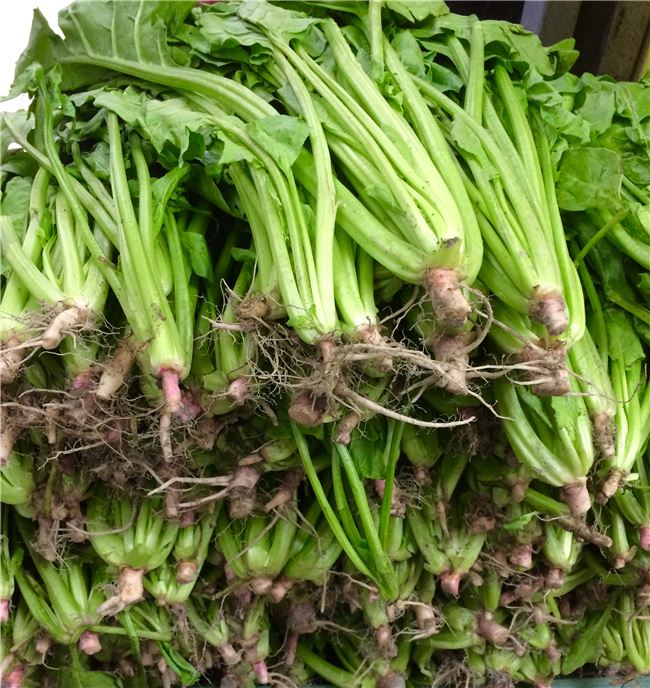  菠菜比起芥菜相對小了很多，所以要整株連根帶葉一起蒸煮，吃時也要整株吃不能切斷，以取其長壽。