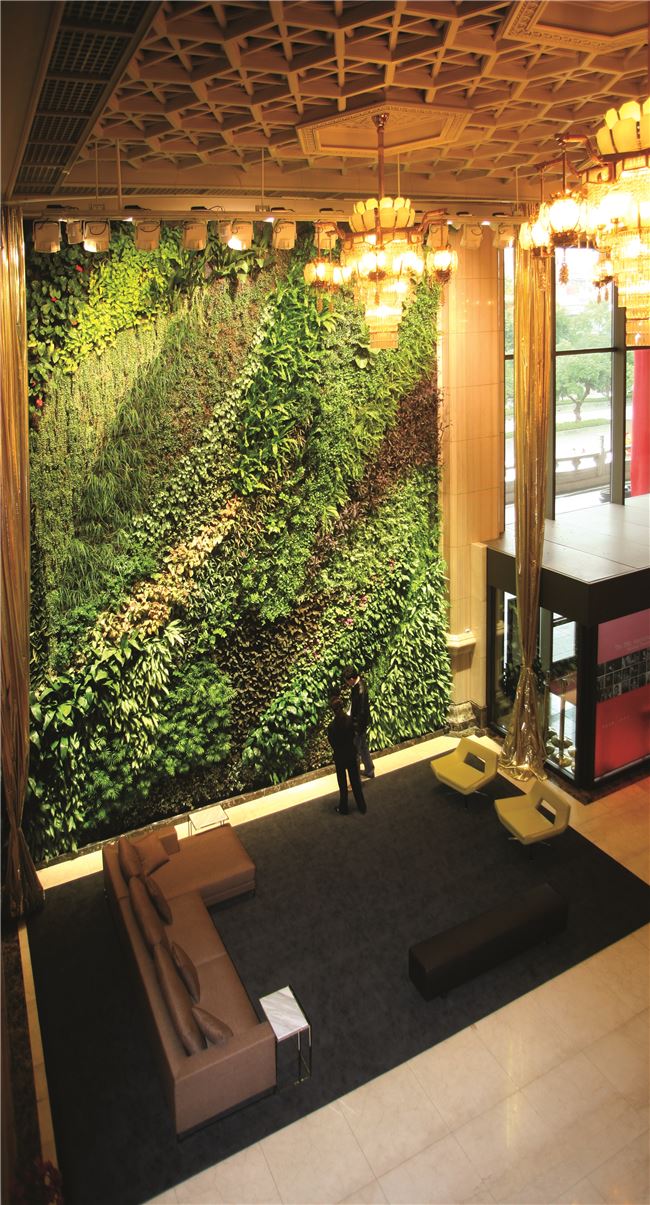 兩廳院綠牆，都是採用臺灣原生蕨類創建而成。