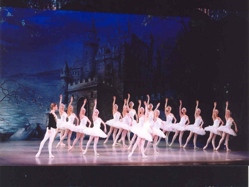 俄羅斯明星節慶芭蕾舞團來自俄羅斯境內各大劇院中最優秀的舞者，舞者們都能完美精準地呈現古典芭蕾藝術中的精緻優雅。舞碼：唐吉軻德、天鵝湖、胡桃鉗、灰姑娘
