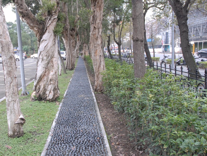 四季桂是桂花中的一個優良品種，它與其它桂花不同的是一年四季均有花卉，香味也是所有桂花中最清新淡雅的。（走一趟北廣場您會有不同的感受喔！）
