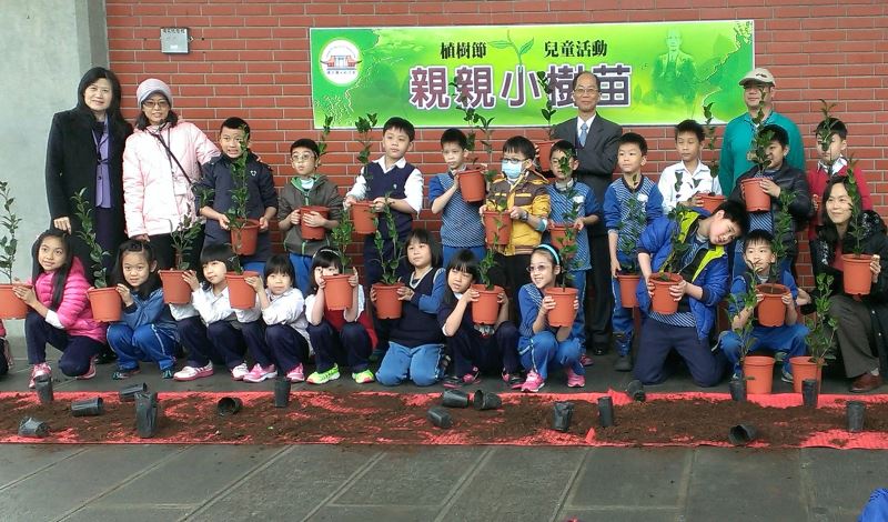 親親小樹苗