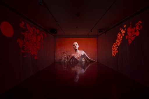 « Virus en devenir » : Shu Lea Cheang expose en ligne au musée des arts asiatiques de Nice