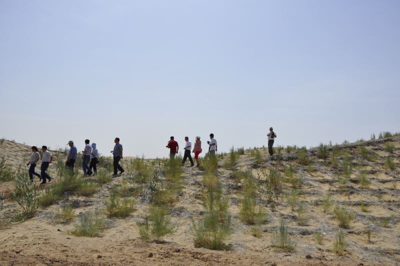 第10屆海峽兩岸沙塵與環境治理學術研討會─考察沙漠治沙成果