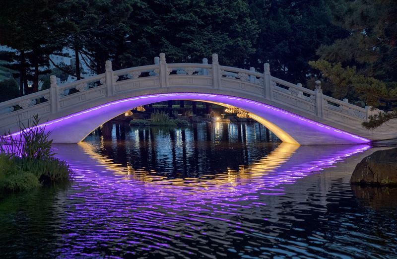 Bridge lit up at night (purple)