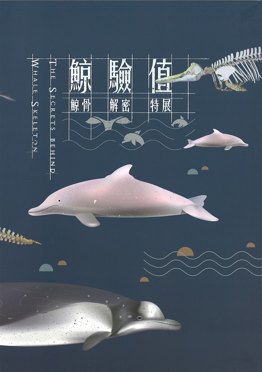 鯨驗值：鯨骨解密特展