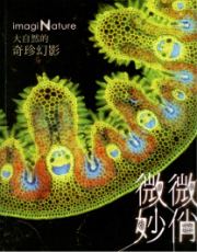 微妙微俏-大自然的奇珍幻影