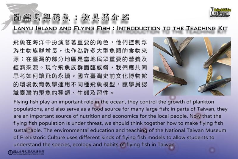 蘭嶼島與飛魚：教具箱介紹 Lanyu Island and Flying Fish: Introduction to the Teaching Kit