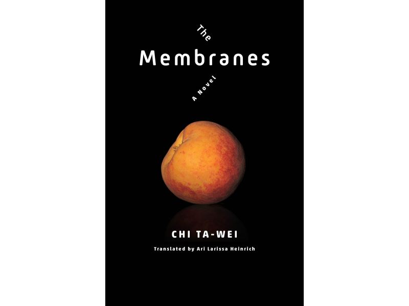 U.S. publisher releases Taiwanese queer writer Chi Ta-wei's novel 'The Membranes'