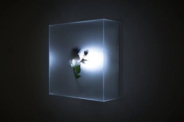 'Projecting Beyond Media – Contemporary Light Art Exhibition'