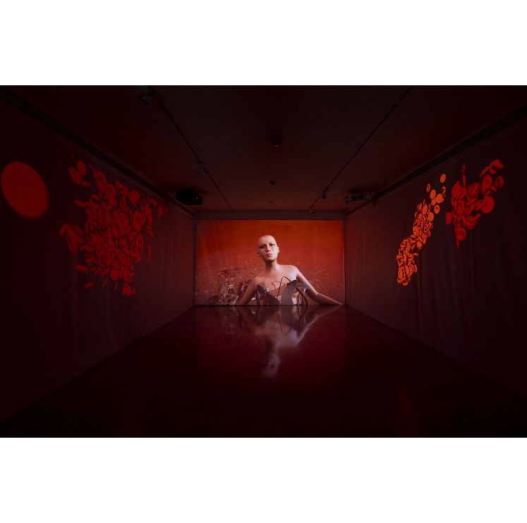Une exposition en ligne de Shu Lea Cheang  présentée par le Musée des Arts Asiatiques de Nice 