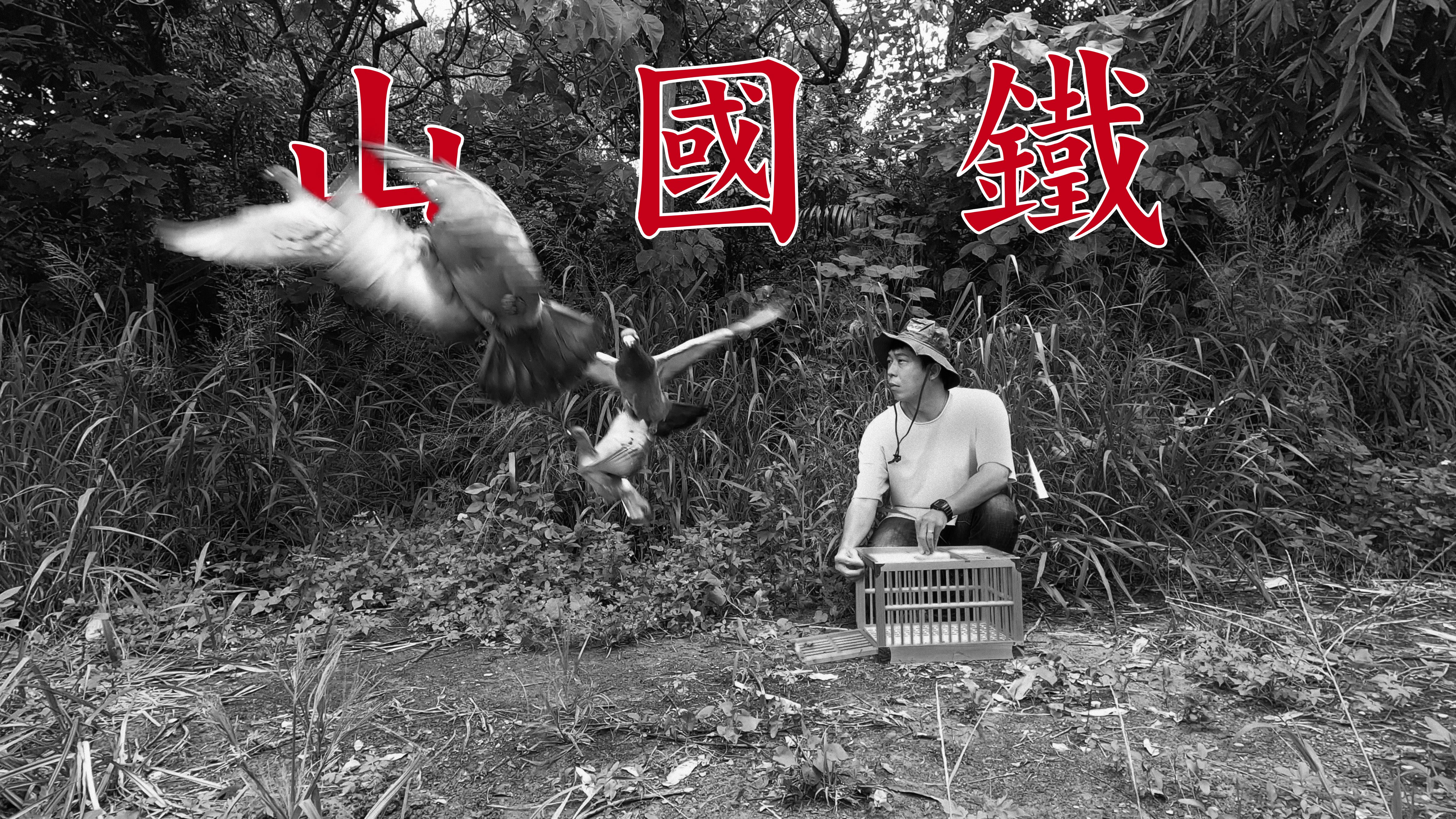 李立中｜鐵國山