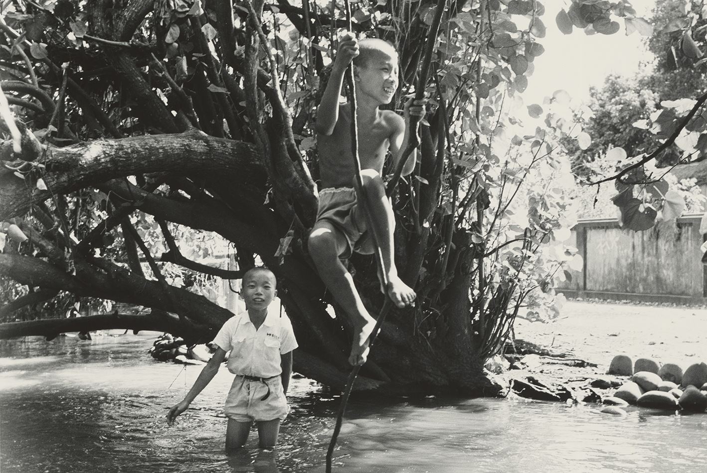 Yang Chih-hsin: Childhood Sincerity