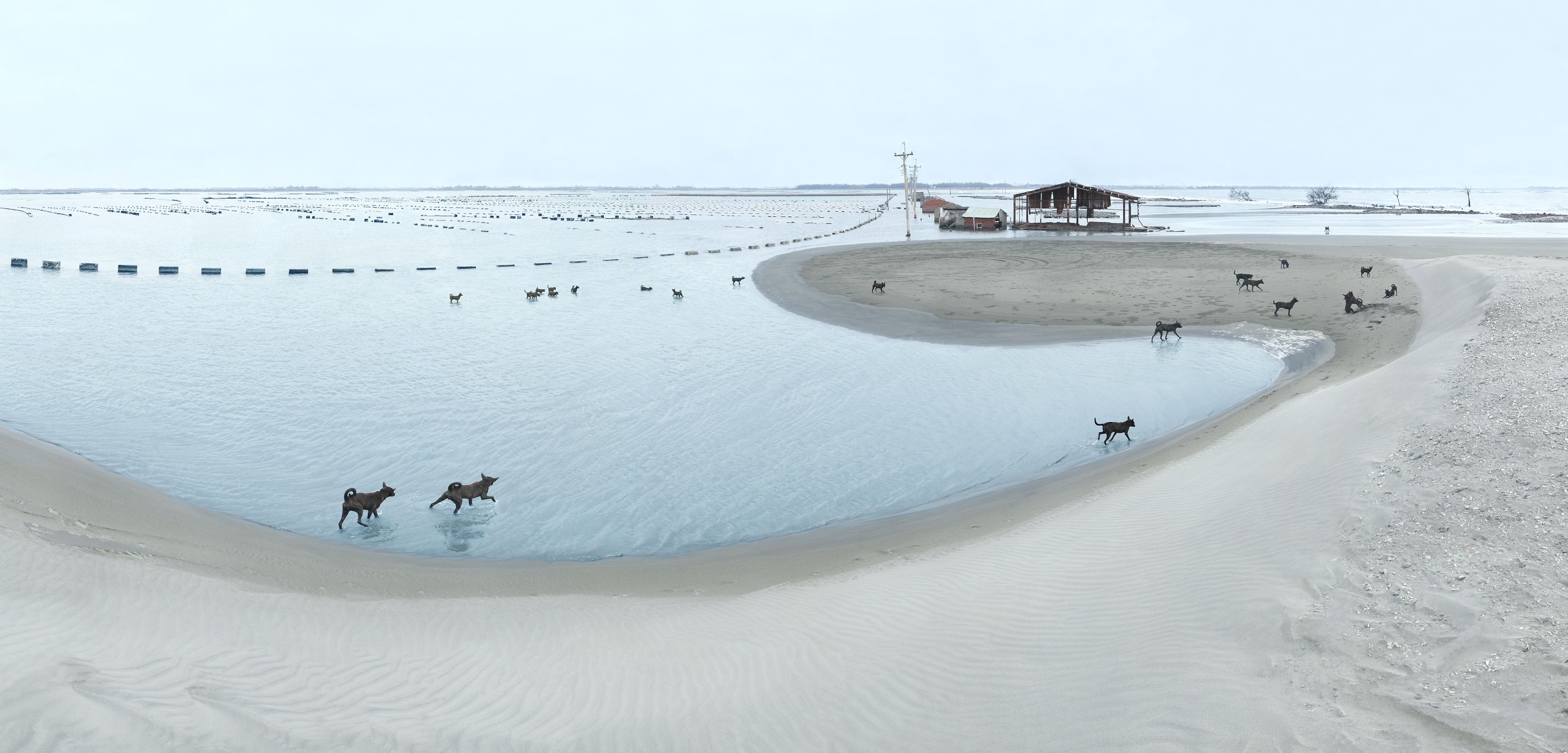 Yang Shun-Fa | Taiwan To Go— A Tribute to Stone Lee & Ocean Theater