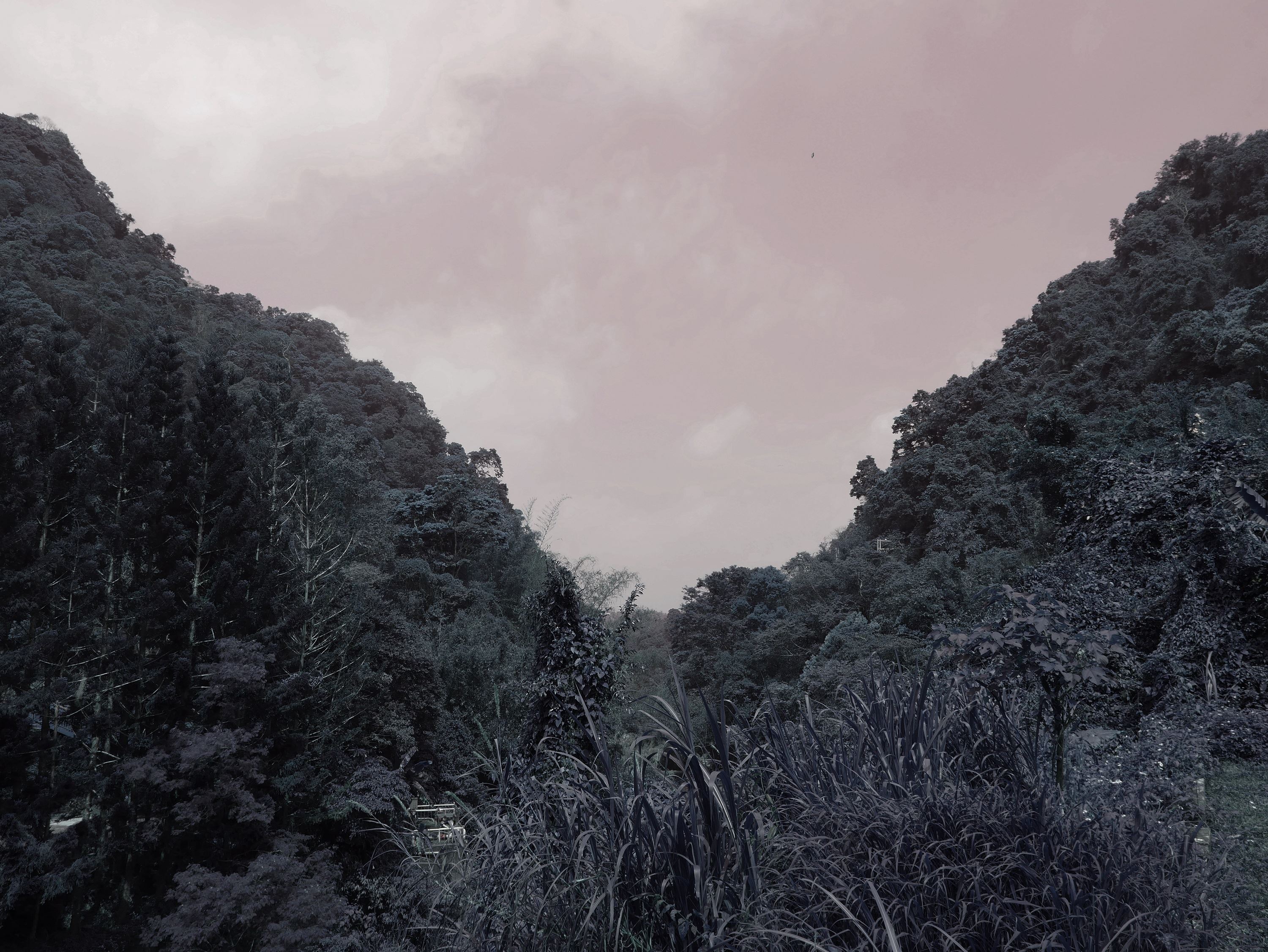 LIANG Ting-Yu | Death Valley