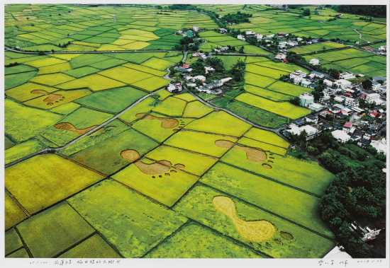 Yuli, Hualien — Giant Footprints in the Paddy Fields