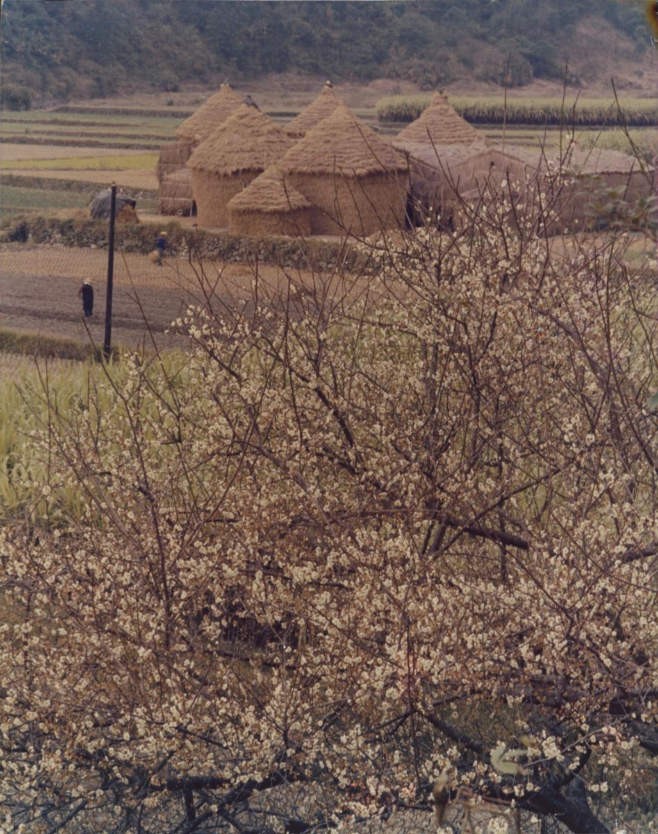 Rural Village by Mei River