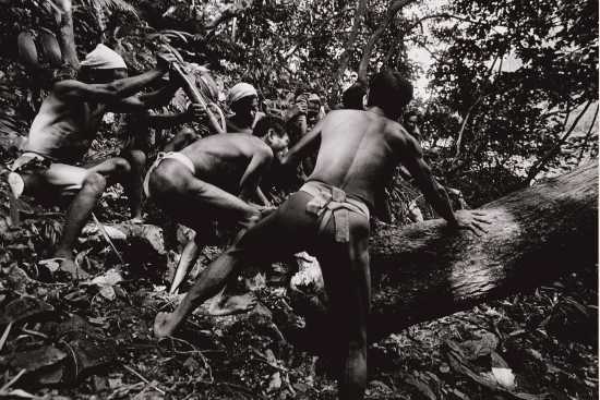 Logging for a Boat