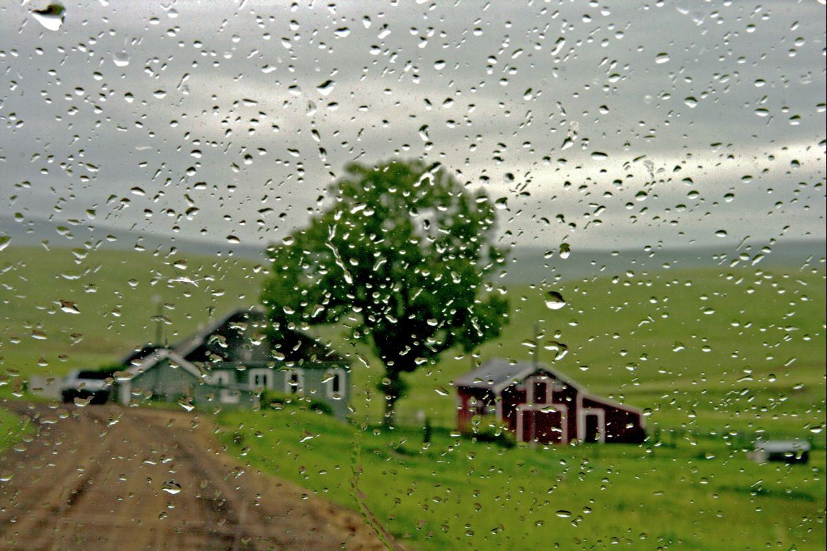 Farmhouse in the Rain