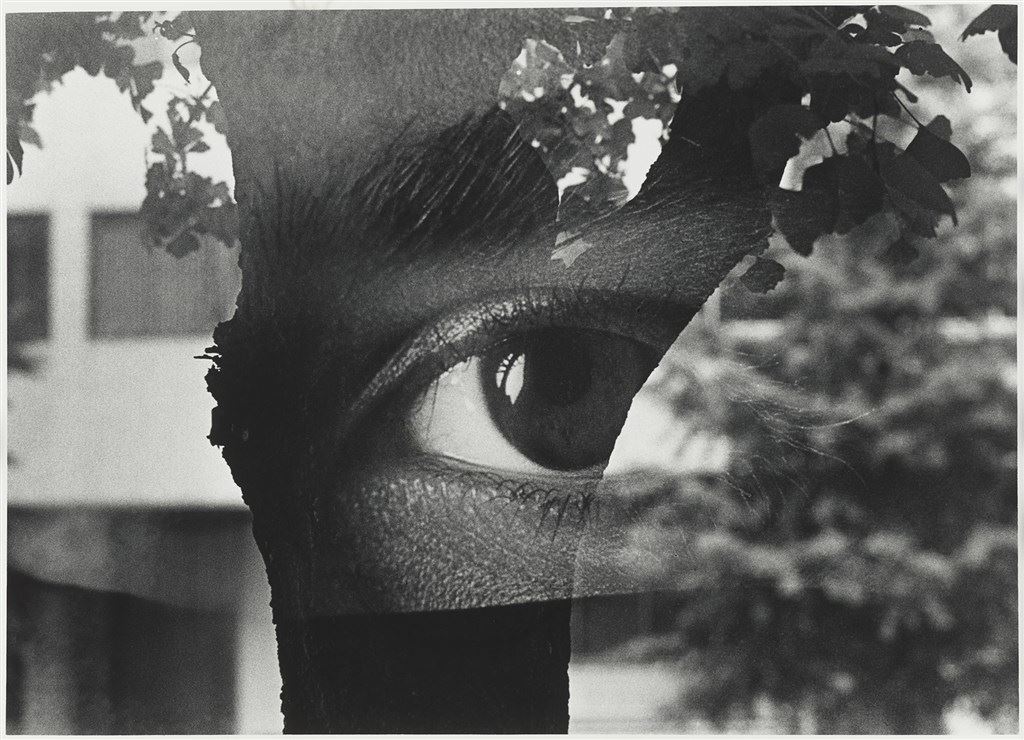 Masters of Photography from Taiwan 3 - WONG Ting-hua photography Digital Exhibition